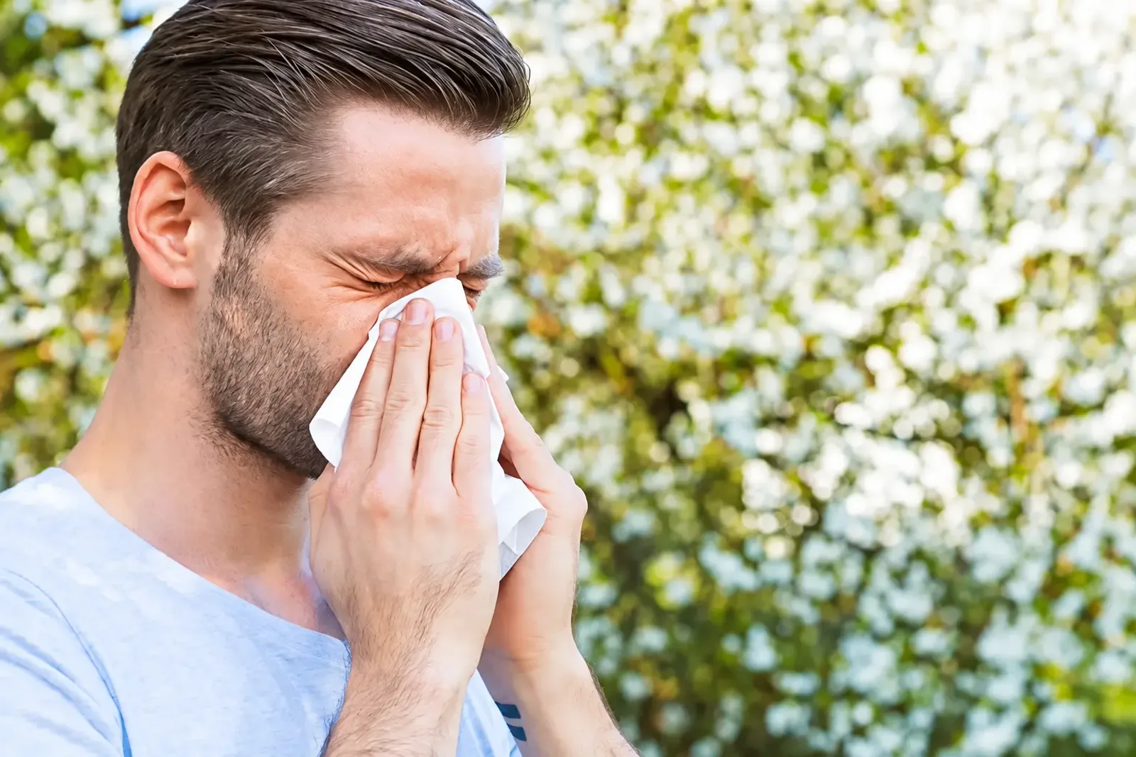 Man sneezing into a tissue outdoors near flowering bushes